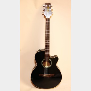 Takamine P-58C 珍しい品番のタカミネです。