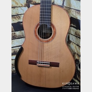 ナンビョウ　クラッシックギター クラシック・ギター／フラメンコ・ギター【楽器検索デジマート】