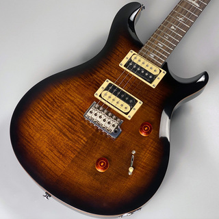 Paul Reed Smith(PRS) SE CUSTOM 24 エレキギター【現物写真掲載】