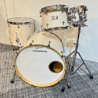 Roger Mayer、Classic Fuzzの検索結果【楽器検索デジマート】
