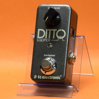 tc electronicDitto Looper【福岡パルコ店】