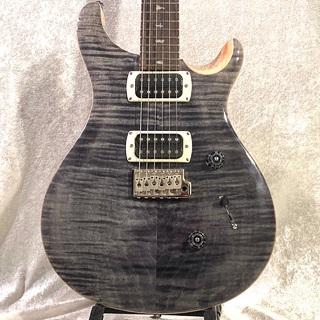 PRS SE Custom 24 seriesの検索結果【楽器検索デジマート】
