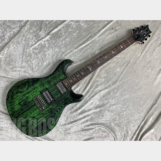 Paul Reed Smith(PRS) SE SWAMP ASH CE 24 - "SANDBLASTED" LIMITED EDITION -(Sandblasted Green)