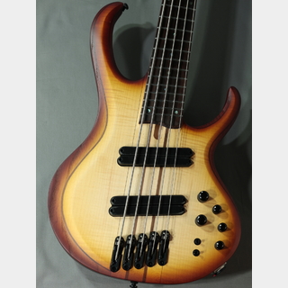 Ibanez BTB705LM NNF Natural Browned Burst Flat【5弦】【重量4.33kg】