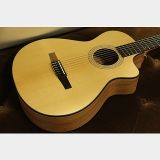 Taylor 112ce-Nylon