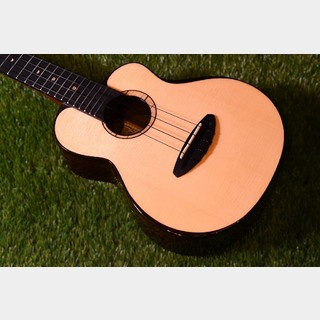 aNueNue UC200 MOON BIRD Concert