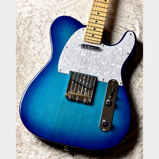 FUJIGEN(FGN) 【国産で丁寧な造り!!】KNTE10RBD/01 -Transparent Blue Sunburst- [3.53kg]