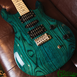 Paul Reed Smith(PRS) SE Swamp Ash Special 22 Iri Blue【現物画像】