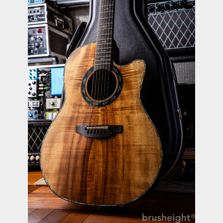 Ovation 【動画有】Ovation Collector's Edition 2009 FKOA Flame Koa limited 034/150