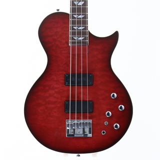 FERNANDES/BURNYの検索結果【楽器検索デジマート】