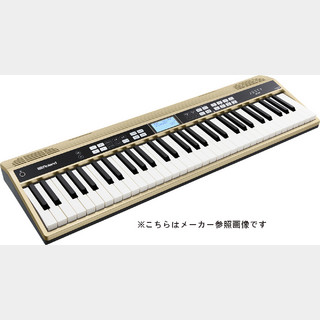 Roland JUSTY HK-100