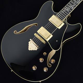 エレクトリックギター ＞ セミアコ、Ibanezの検索結果【楽器検索