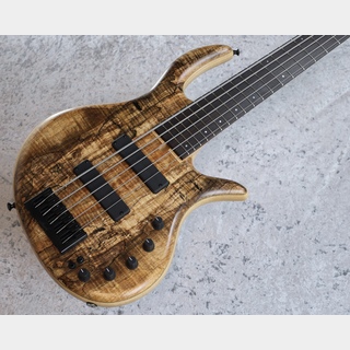 Elrick Gold Series e-volution 5 Bolt-on 35inch Curly Black Line Spalted Maple Top【3.44kg】