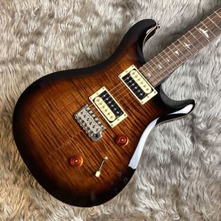 Paul Reed Smith(PRS)SE CUSTOM 24