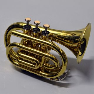 管楽器・吹奏楽器【楽器検索デジマート】