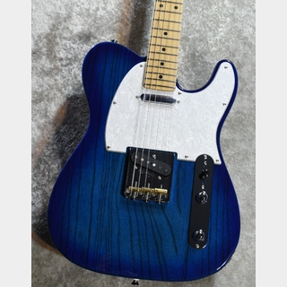美品 FUJIGEN NTE100RAL-BK テレキャスター 日本製 ギター FgN fujigen