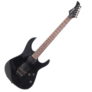 FERNANDESFR X EXPORT BLACK エレキギター