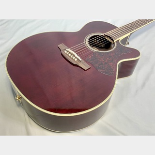 Takamine DMP551C WR with Contact P.U