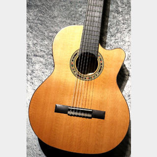 Orpheus Valley GuitarsF65CW-7S【激エモ7弦エレガット】【現物写真】【池袋店在庫品】
