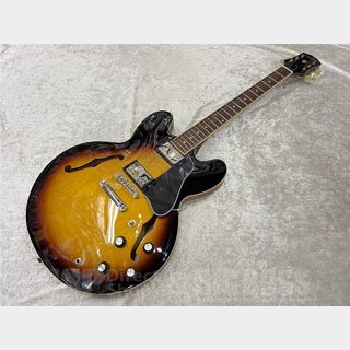 エレクトリックギター ＞ セミアコ、Epiphone、DOTの検索結果【楽器
