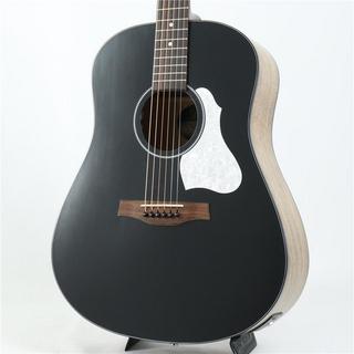 アコースティックギター／エレクトリック・アコースティックギター 