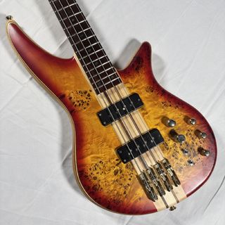 Jackson Jackson Pro Series Spectra Bass SBP IV