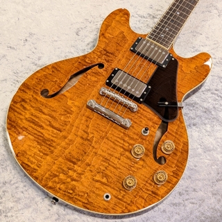 Wisdom DC7 / Brown Amber【USED】【美品!!】