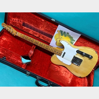 エレクトリックギター ＞ TLタイプ、Fender、Telecasterの検索結果