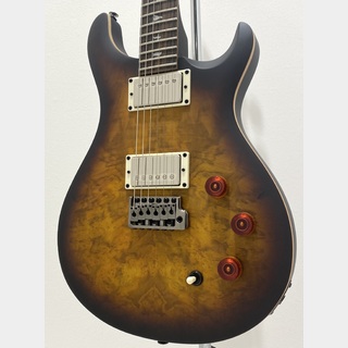 Paul Reed Smith(PRS) SE DGT Laurel Burl Limited Edition(David Grissom Signature Model) / McCarty Tobacco Burst