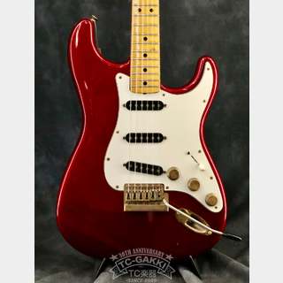 Fender1981 THE STRAT