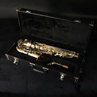 Maxtone ALTO SAX JUNK 【梅田店】