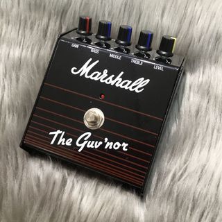 Marshall 【現物写真】The GuvNor Reissue ６０周年記念モデル