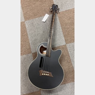 アコースティック・ベース／エレアコ・ベース、フレットレスの検索結果