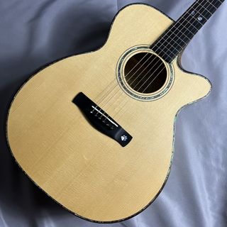 AYERS A06P-CX Cat DX NH Custom