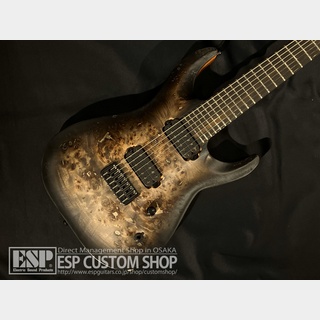 EDWARDS E-HR7-FX/BM Black Burst