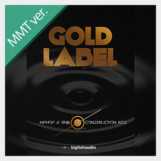 bigfishaudio GOLD LABEL - HIP HOP AND RNB MMT