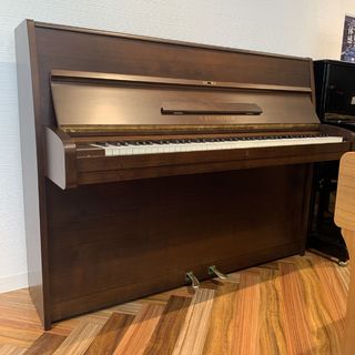 Bechstein12N