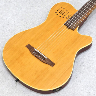 アコースティックギター／エレクトリック・アコースティックギター