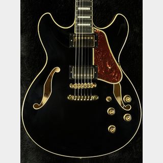 エレクトリックギター ＞ セミアコ、Ibanezの検索結果【楽器検索