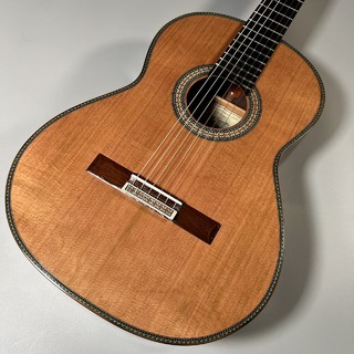 VICENTE CARRILLO Maestro NOMEX/C/650