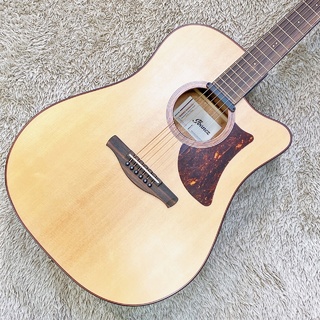 IbanezAAD300CE LGS (Natural Low Gloss) 【エレアコ】