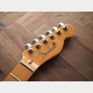 Fender Britt Daniel Telecaster Neck - Relic