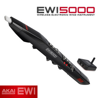 AKAI EWI-5000J アカイ ウィンドシンセ EWI5000J 【WEBSHOP】