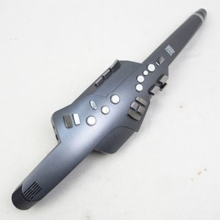 Roland AE-10G Aerophone エアロフォン 【横浜店】