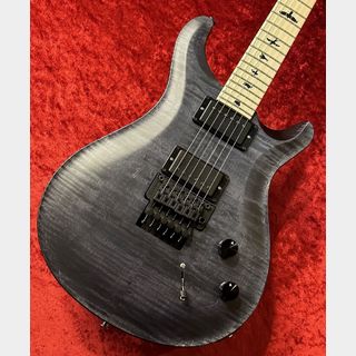 Paul Reed Smith(PRS) DW CE 24 "Floyd" -Gray Black- ≒3.281Kg