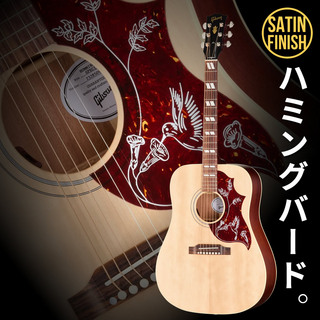 Gibson、Hummingbird Specialの検索結果【楽器検索デジマート】