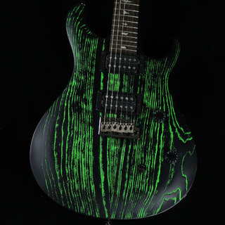 Paul Reed Smith(PRS)SE Swamp Ash CE24 Sandblasted Green SE CE24アッシュ