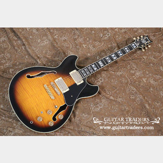 エレクトリックギター ＞ セミアコ、Ibanezの検索結果【楽器検索