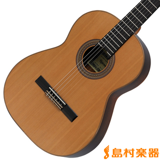 Raimundo119C64w/HC クラシックギター