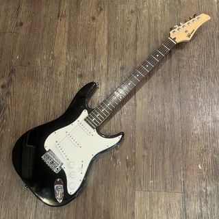 Greco WS-STD Stratocaster Type Electric Guitar